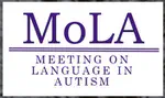 From Mapping to Memory: Autistic Adults’ Mentalizing System Activation during Word Learning and Memory Outcomes